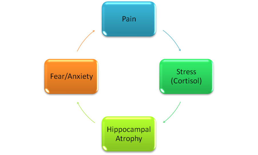 Stress Management Chart